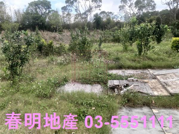 新竹新埔農舍-9
