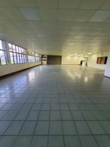 新竹新埔廠房-0