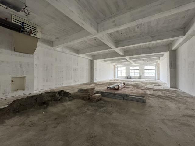 新竹湖口廠房-1