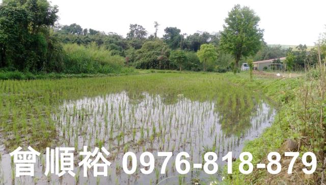 新竹竹東農舍-9