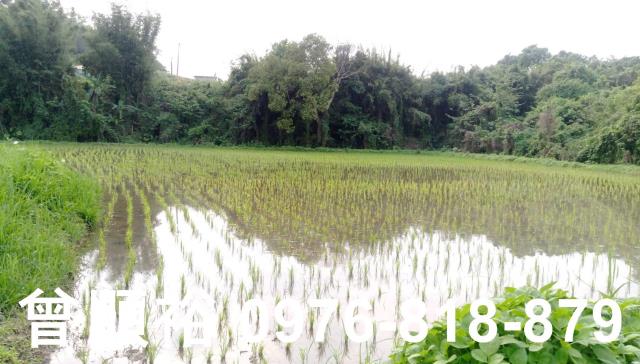 新竹竹東農舍-5