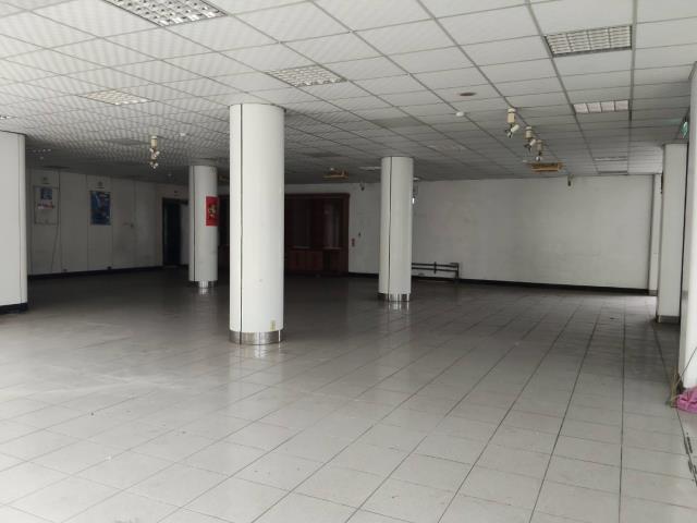 新竹竹北廠房-0