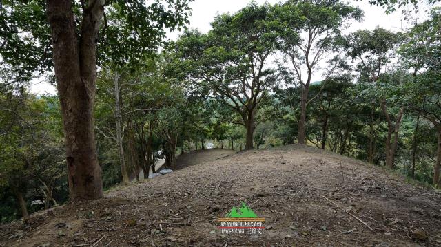 新竹北埔農地-12