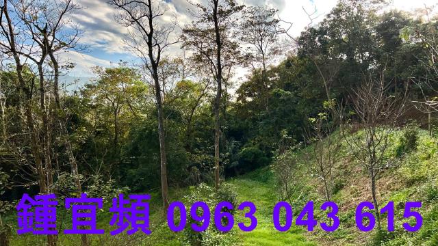 新竹北埔農地-10