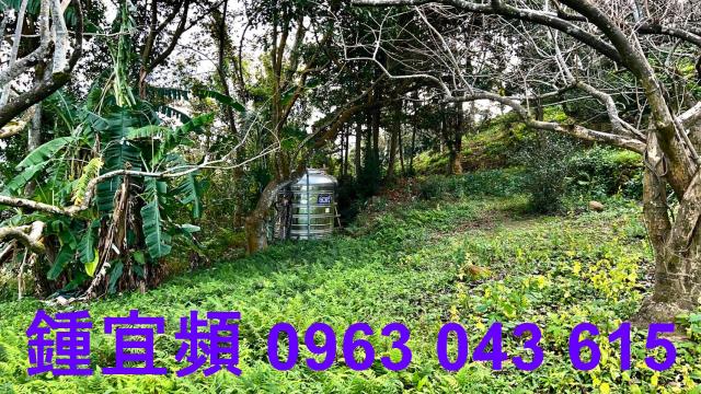 新竹北埔農地-7