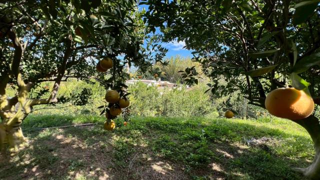 新竹峨眉農地-3