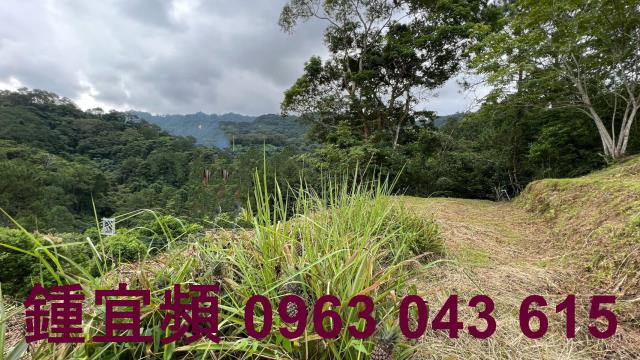 新竹北埔農地-13