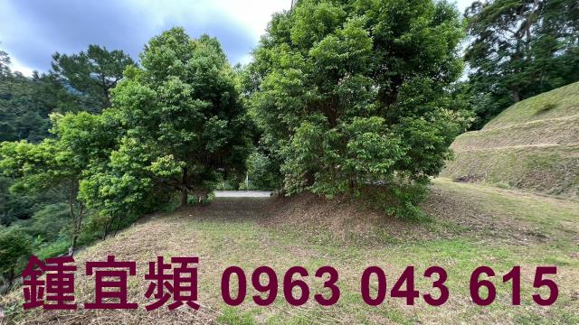 新竹北埔農地-3