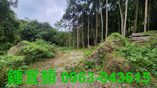 新竹北埔農地-6