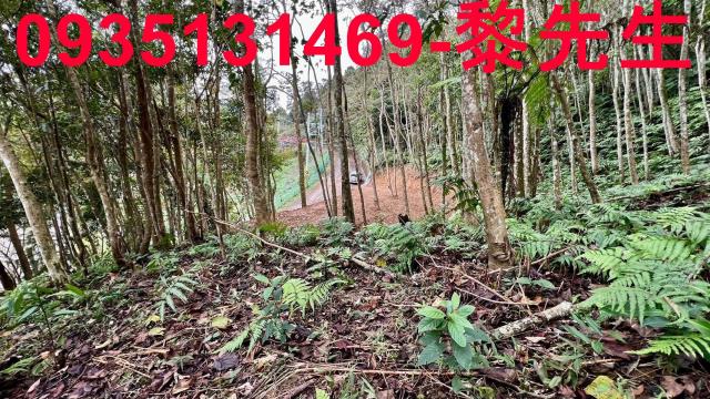 新竹橫山農地-11