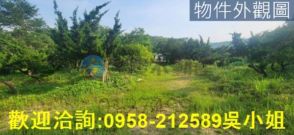 湖口農地-1