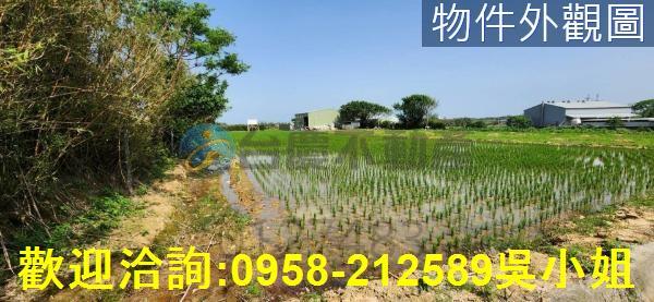 新竹農地-4
