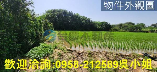 新竹農地-8