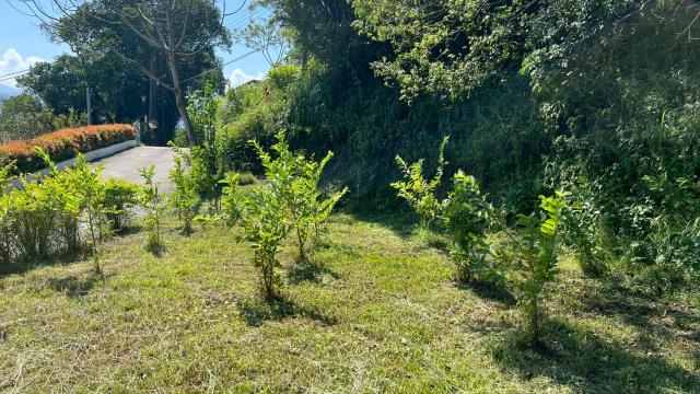 新竹橫山農地-9