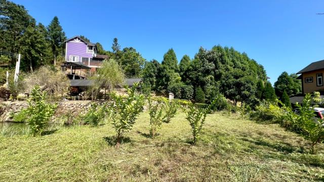 新竹橫山農地-5