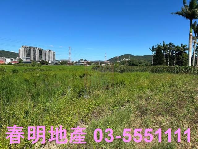 新埔農地-6