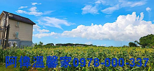 新竹新豐農地-4