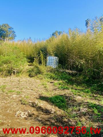 新竹尖石農地-5