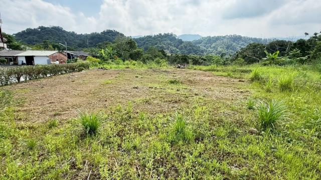 新竹橫山農地-10