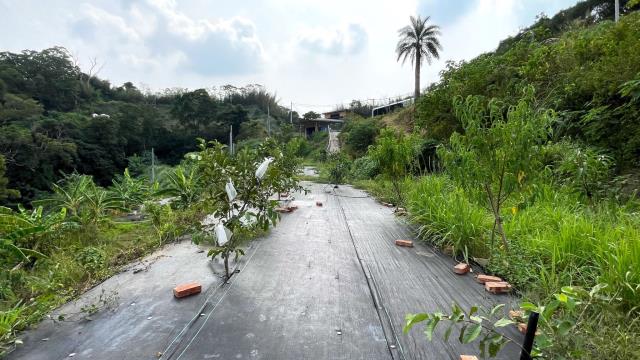 新竹寶山農地-9