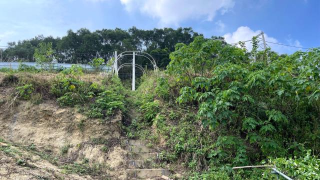 新竹寶山農地-14