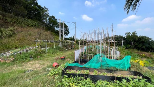 新竹寶山農地-0
