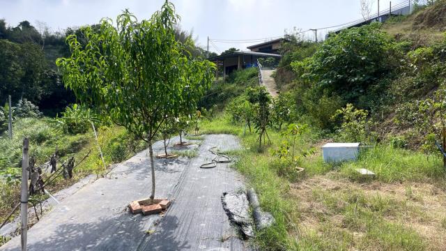 新竹寶山農地-4