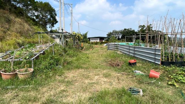 新竹寶山農地-6