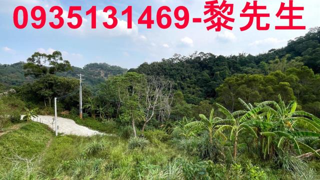 新竹寶山農地-11