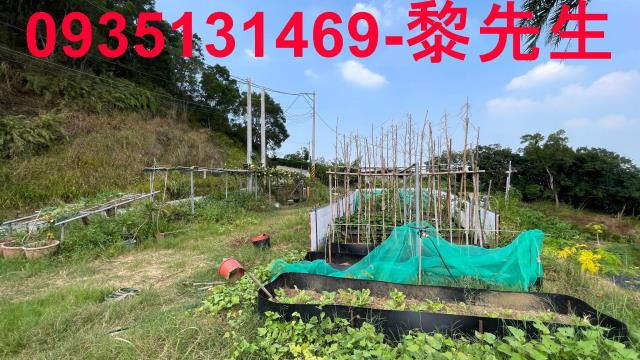 寶山農地-1