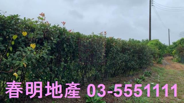 新竹芎林農地-1