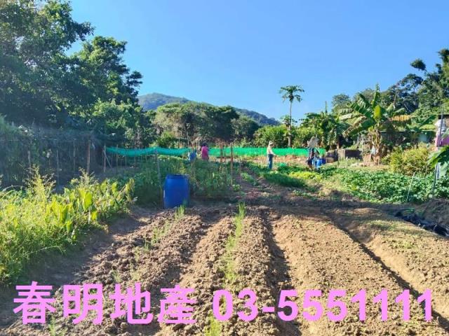 新竹關西農地-9