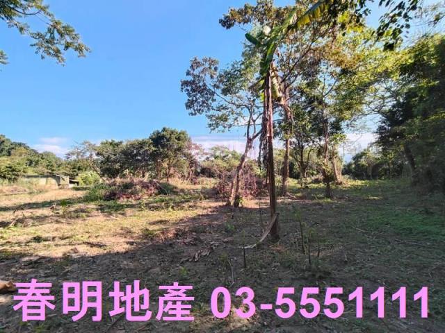 新竹關西農地-5