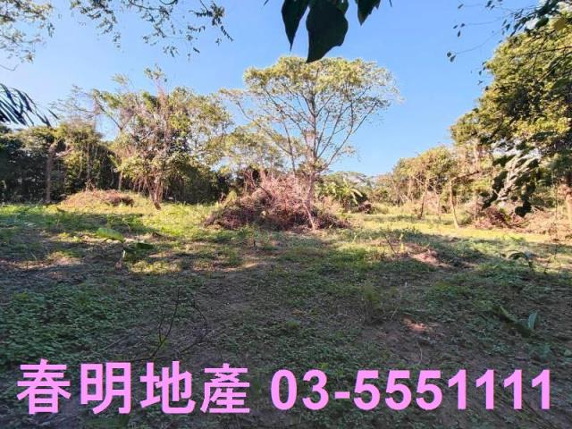 新竹關西農地-7