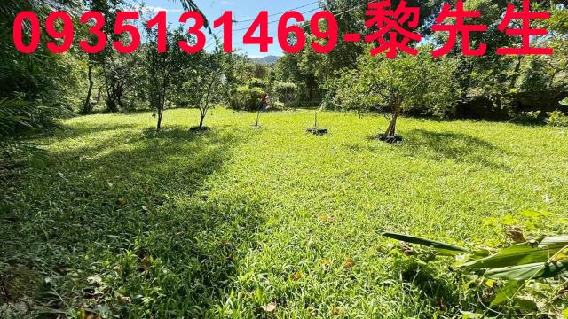 新竹關西農地-9