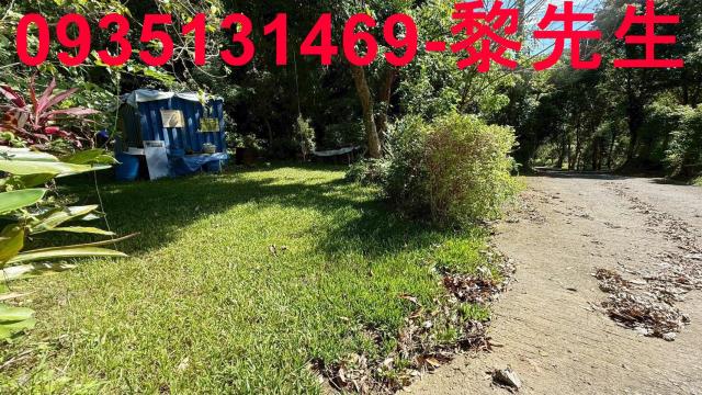 新竹關西農地-10