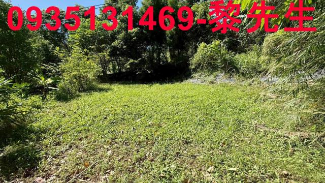 新竹關西農地-3