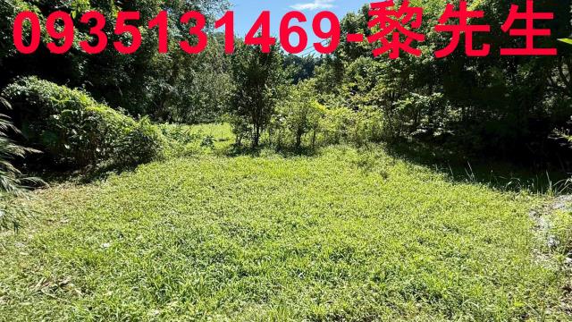 新竹關西農地-8