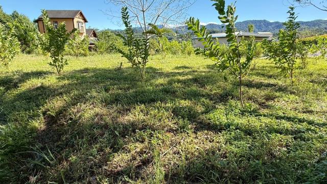 新竹橫山農地-10