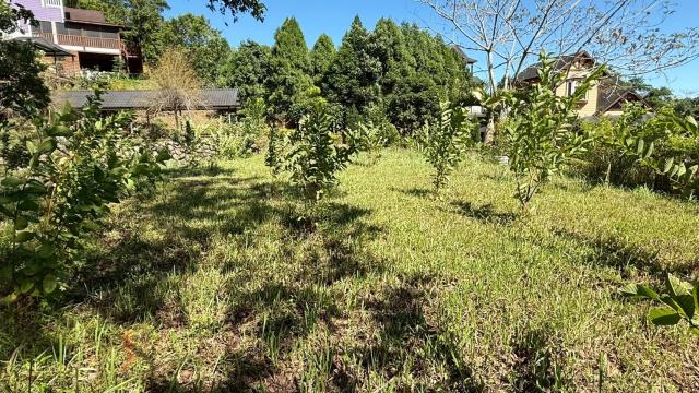 新竹橫山農地-11