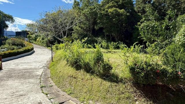 新竹橫山農地-12