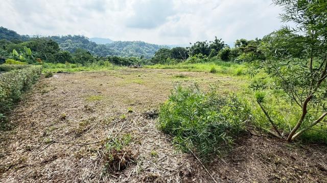 新竹橫山農地-1