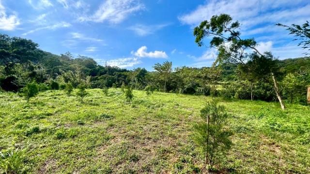 新竹竹東農地-0