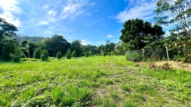 新竹竹東農地-12