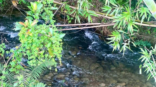 新竹竹東農地-13