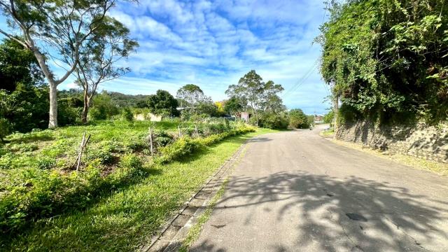 新竹竹東農地-0