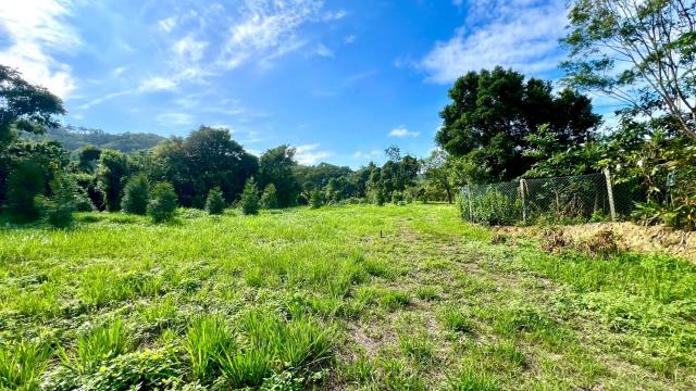 新竹竹東農地-2