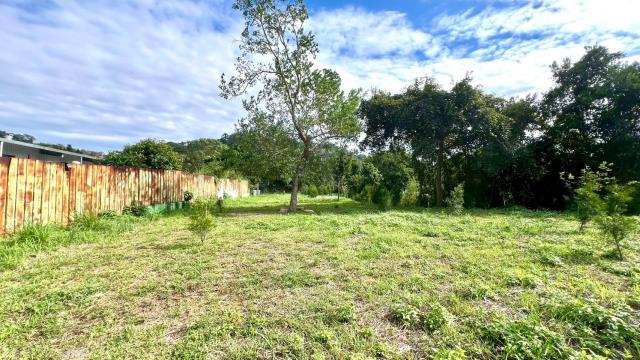 新竹竹東農地-6