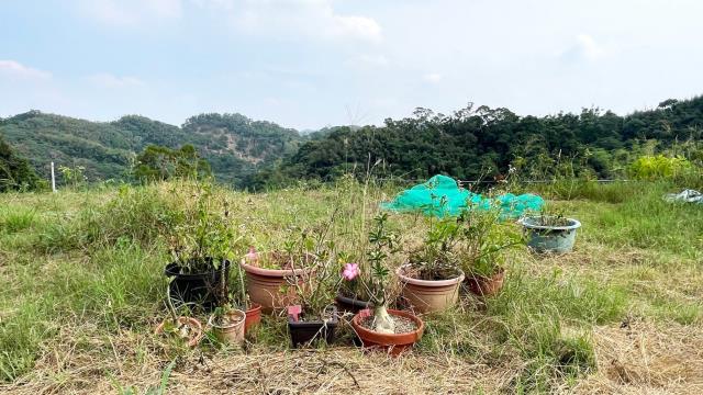 新竹寶山農地-10