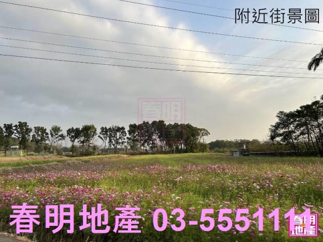 新竹竹北農地-10